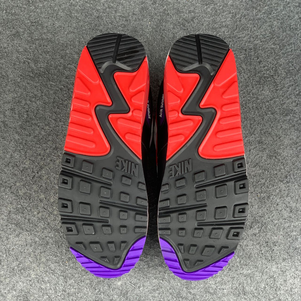 Nike Air Max 90 Essential 'Raptors'